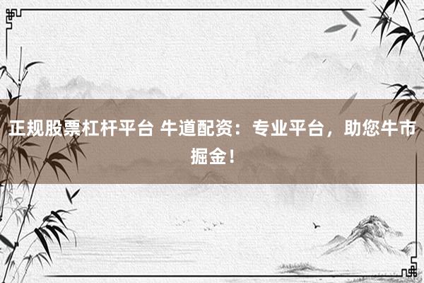 正规股票杠杆平台 牛道配资：专业平台，助您牛市掘金！