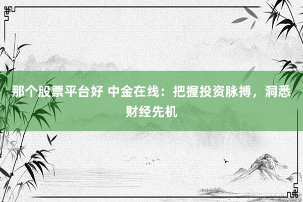 那个股票平台好 中金在线：把握投资脉搏，洞悉财经先机