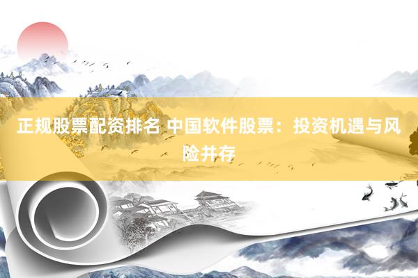 正规股票配资排名 中国软件股票：投资机遇与风险并存