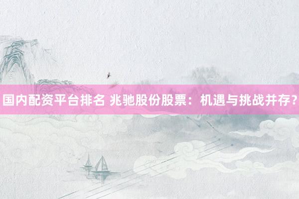 国内配资平台排名 兆驰股份股票：机遇与挑战并存？