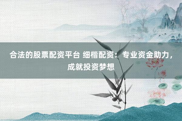 合法的股票配资平台 细楷配资：专业资金助力，成就投资梦想