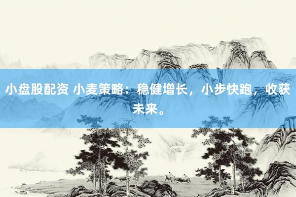 小盘股配资 小麦策略：稳健增长，小步快跑，收获未来。