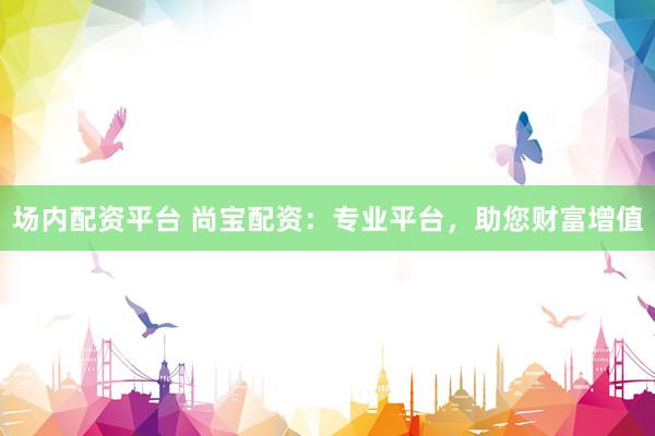 场内配资平台 尚宝配资：专业平台，助您财富增值