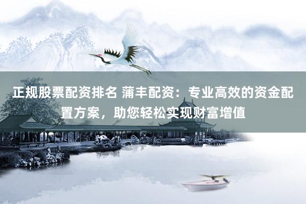 正规股票配资排名 蒲丰配资：专业高效的资金配置方案，助您轻松实现财富增值