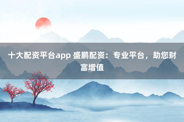十大配资平台app 盛鹏配资：专业平台，助您财富增值