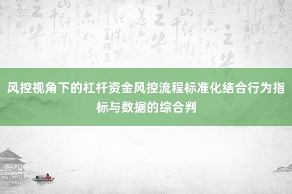 风控视角下的杠杆资金风控流程标准化结合行为指标与数据的综合判