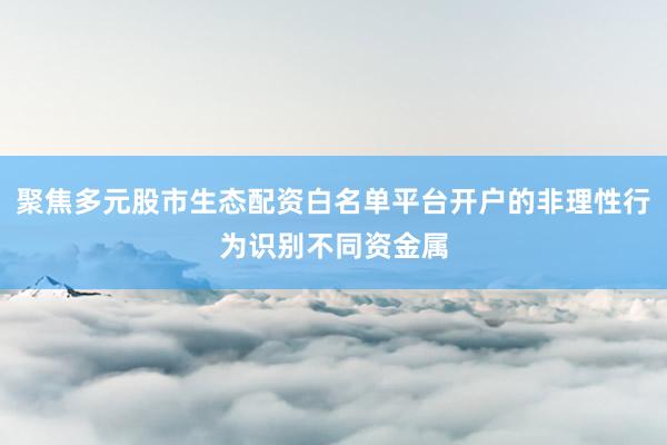 聚焦多元股市生态配资白名单平台开户的非理性行为识别不同资金属