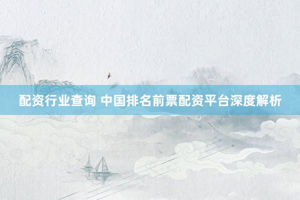 配资行业查询 中国排名前票配资平台深度解析