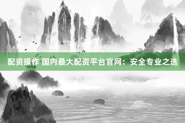 配资操作 国内最大配资平台官网：安全专业之选