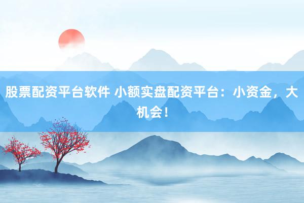 股票配资平台软件 小额实盘配资平台：小资金，大机会！