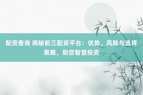 配资查询 揭秘前三配资平台：优势、风险与选择策略，助您智慧投资